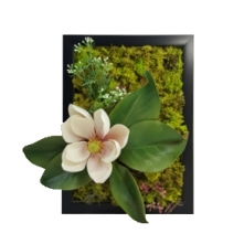 Front Page - Green Art - Refreshing Magnolia