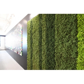 Mercedes Benz Office (2019)