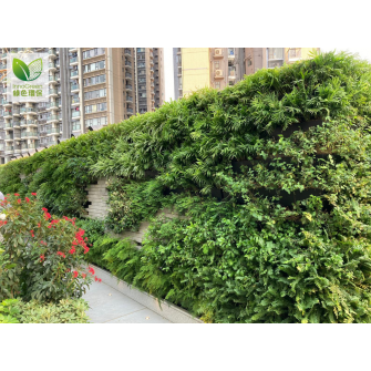 Lung Tin Tsuen (2021)