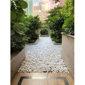 IGT-1810264 Wise Link - The Avenue 1