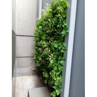 圖片1