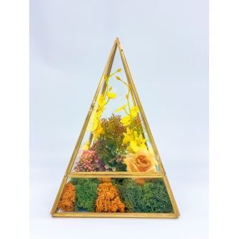 Terra-Geometric Terrarium (GA)
