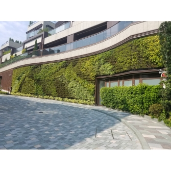 IGT-1908346 - ChinaChem - No. 18 Pik Sha Rd, Villa Cove 4