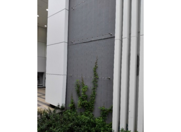Climber -2016 Sports centre, community hall and district library in Area 14B, Sha Tin