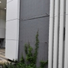 Climber -2016 Sports centre, community hall and district library in Area 14B, Sha Tin