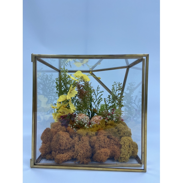 IMG_1741
